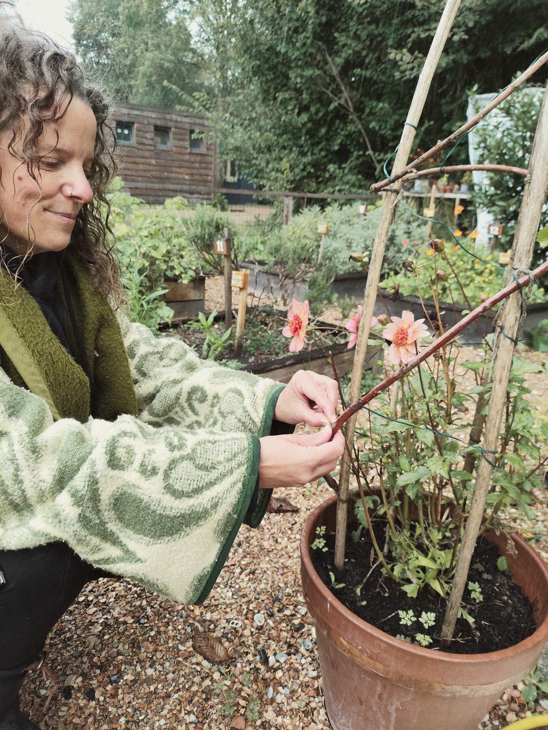 Anneke bindt glimlachend een dahlia aan